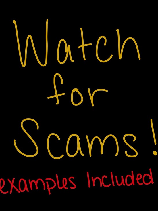 Dressed in LALA Other - Watch for Scams Graphic Print - Women's Other